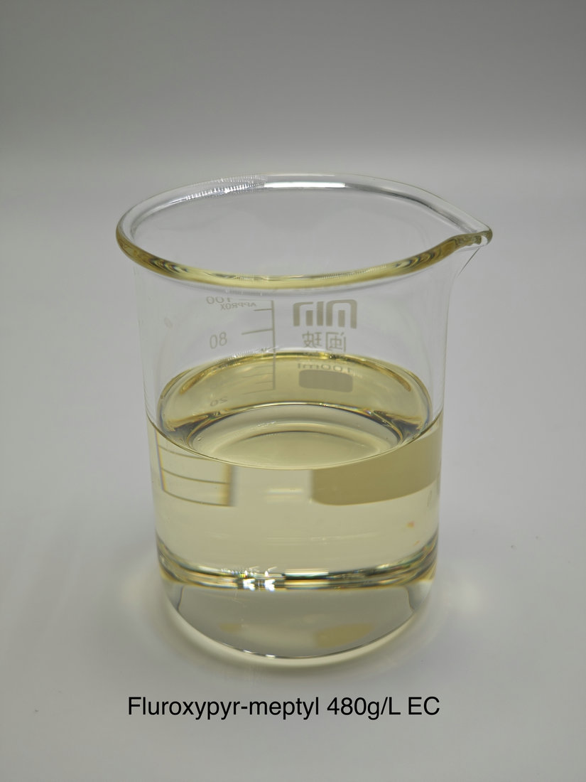 Fluroxypyr-meptyl 480g/L EC